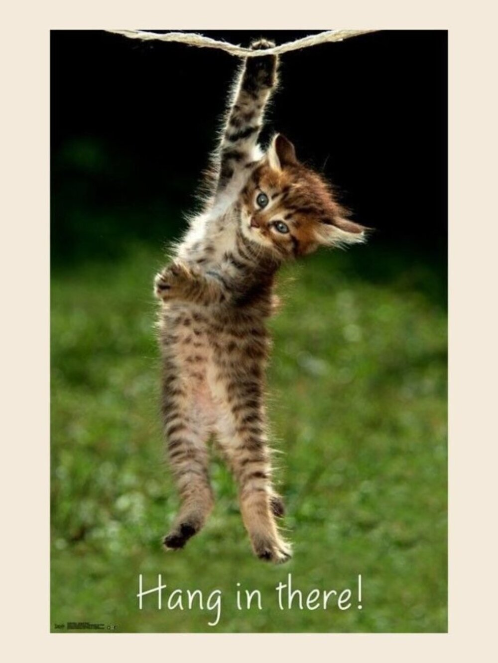 KITTEN - HANG IN THERE - MOTIVATIONAL POSTER_